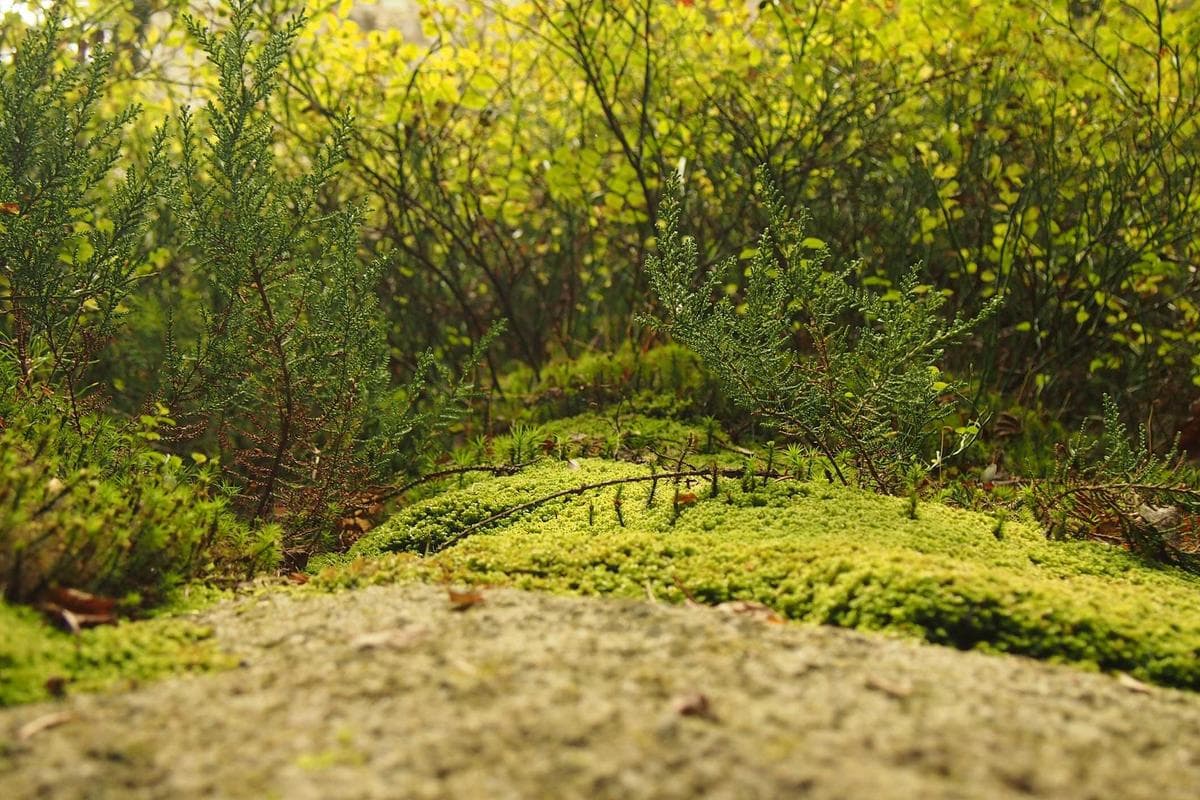 사용량 기반 요금제를 설계하는 법